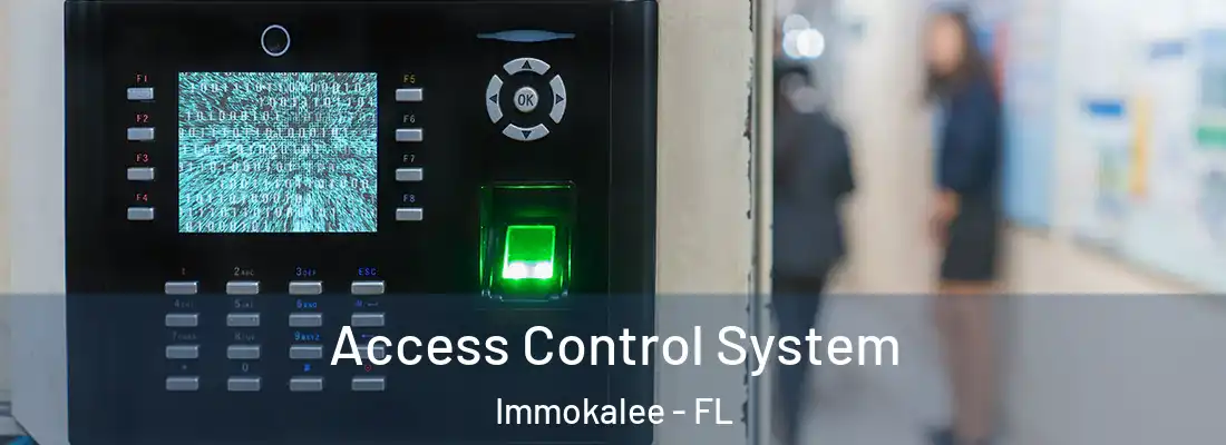 Access Control System Immokalee - FL