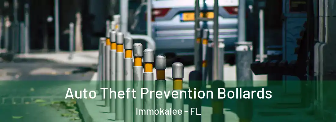 Auto Theft Prevention Bollards Immokalee - FL