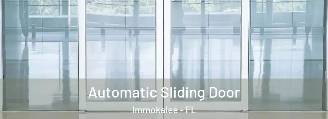 Automatic Sliding Door Immokalee - FL