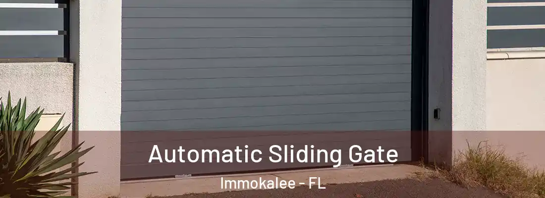  Automatic Sliding Gate Immokalee - FL