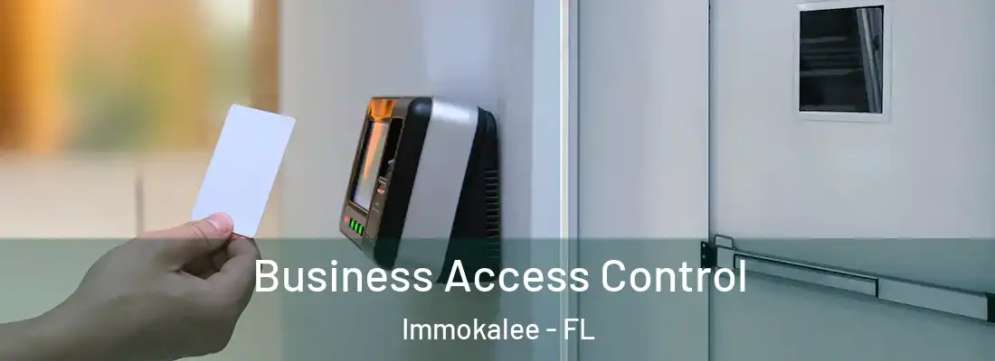 Business Access Control Immokalee - FL