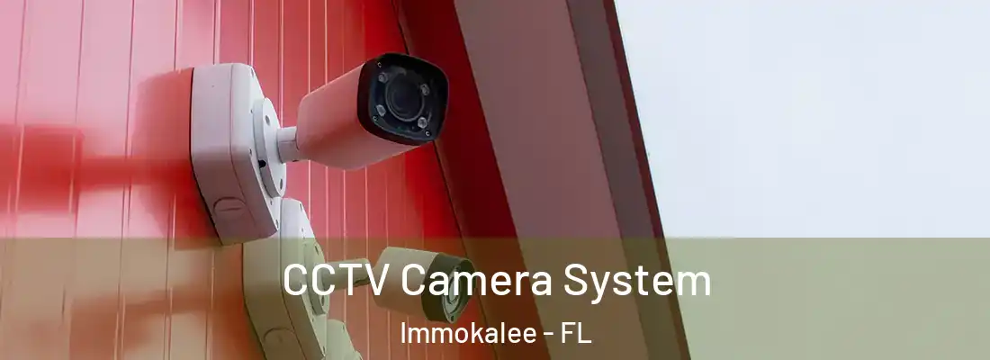 CCTV Camera System Immokalee - FL