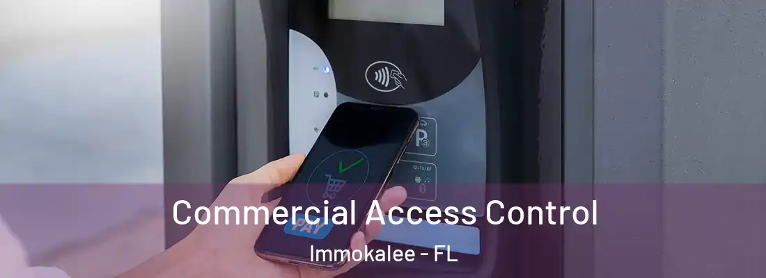 Commercial Access Control Immokalee - FL