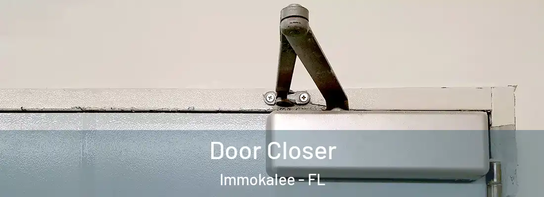Door Closer Immokalee - FL