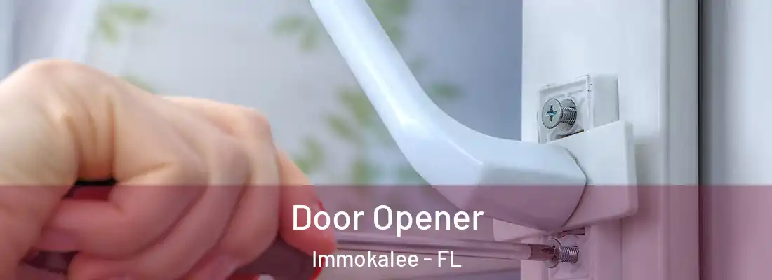 Door Opener Immokalee - FL