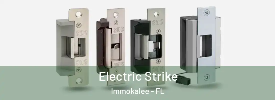  Electric Strike Immokalee - FL