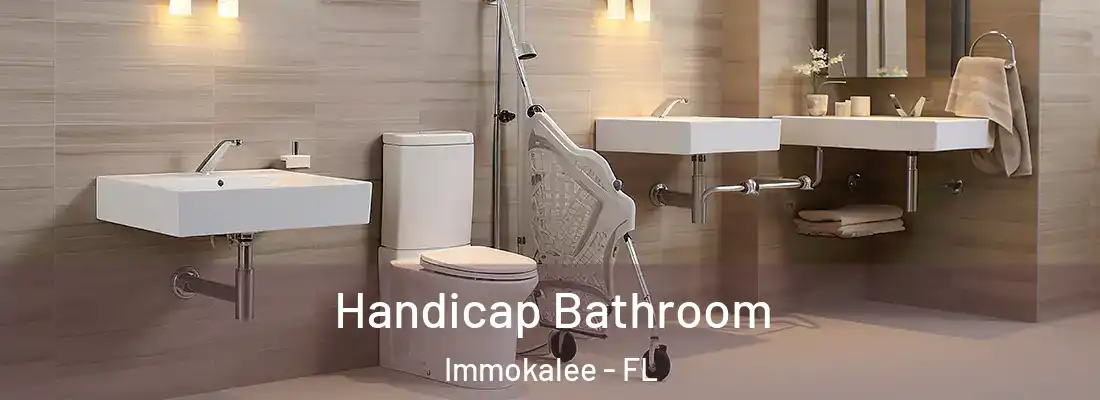 Handicap Bathroom Immokalee - FL