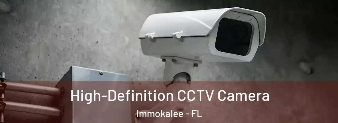  High-Definition CCTV Camera Immokalee - FL
