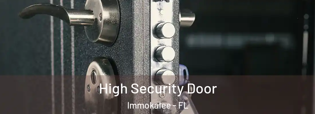  High Security Door Immokalee - FL