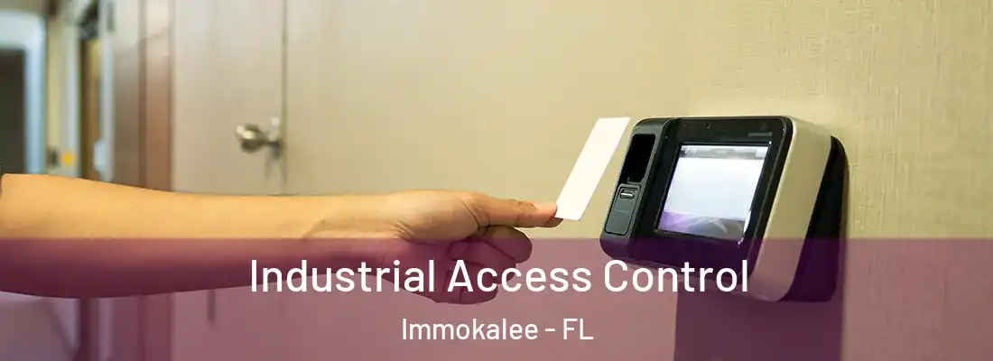 Industrial Access Control Immokalee - FL