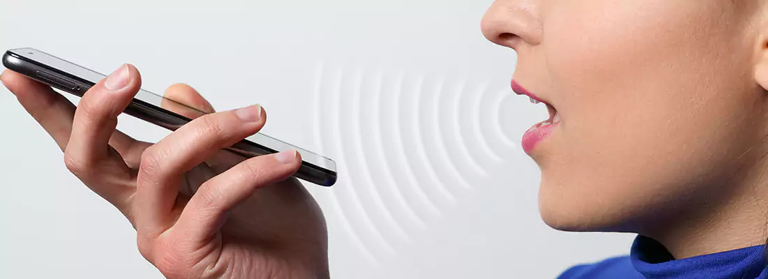 Residential and Commercial Voice Recognition Access Solutions in Immokalee, FL