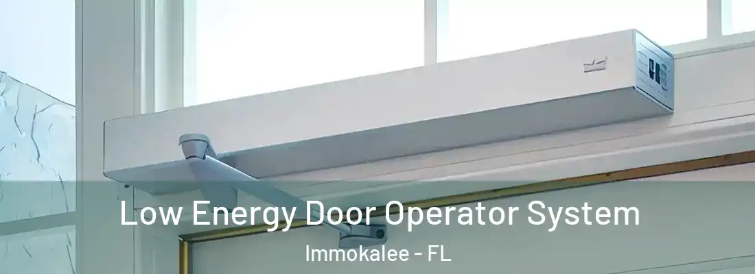 Low Energy Door Operator System Immokalee - FL