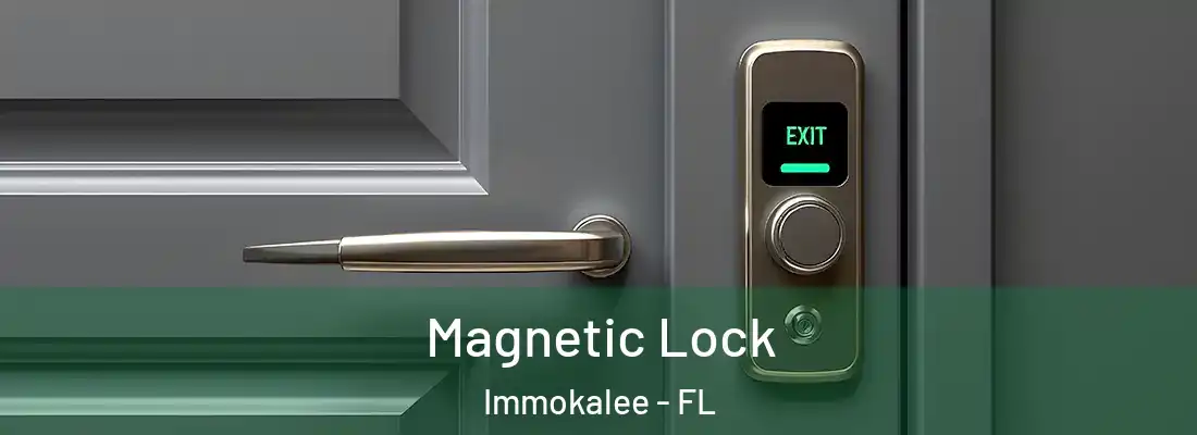 Magnetic Lock Immokalee - FL