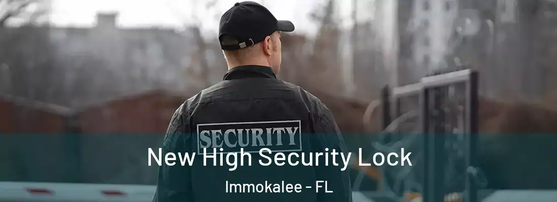 New High Security Lock Immokalee - FL