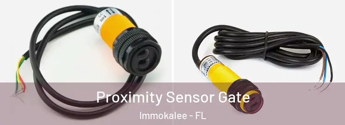 Proximity Sensor Gate Immokalee - FL