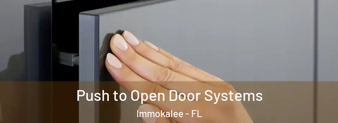  Push to Open Door Systems Immokalee - FL